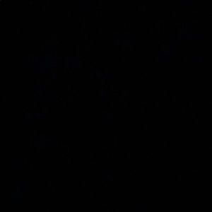 Meet your Posher, Karisma